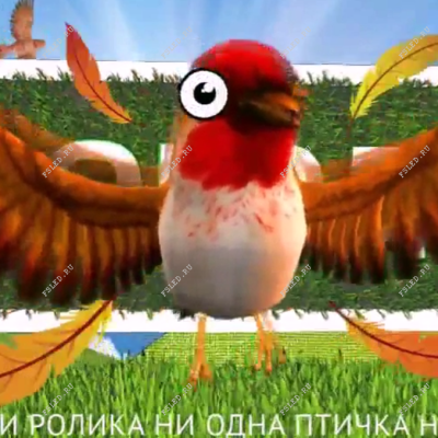 Первое уличное телевидение